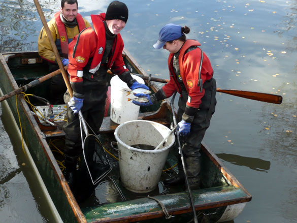 fish rescue 1.jpg